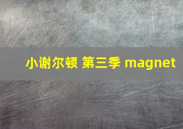 小谢尔顿 第三季 magnet